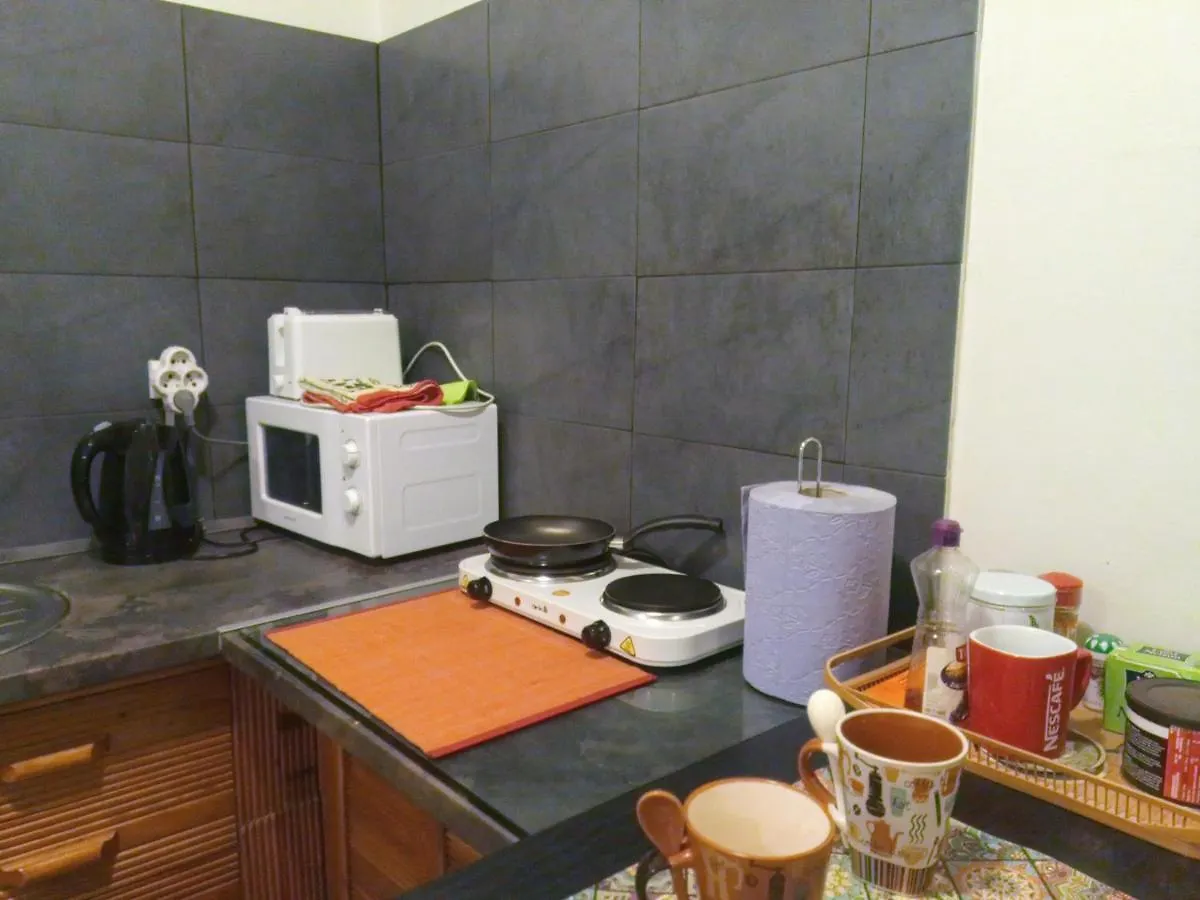 Kingsize Bed 2X2,20 Comfort Super Wifi 70 Mbps Studio! Soluň Apartmán